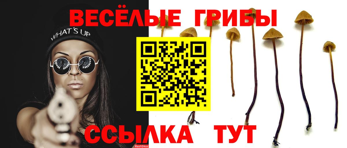 Псилоцибиновые грибы прущие грибы  Вход с VPN  Галлюциногенные грибы мухоморы  Гусев 